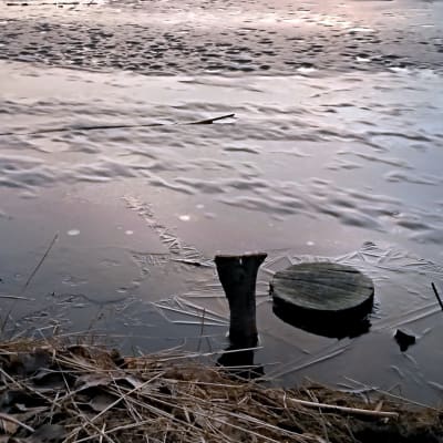 Tunn is på vårkanten vid Metviken i Vasa