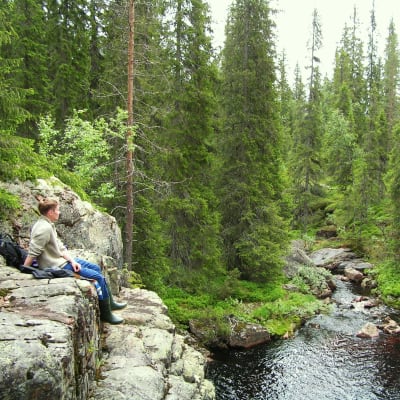 En ung man sitter vid en brant klippa i skogen invid en liten älv.