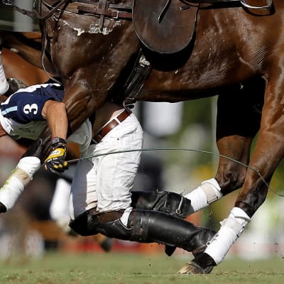 Pablo Mac Donough faller från hästryggen under en polomatch i Buenos Aires i december 2013.