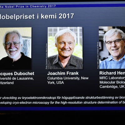 Kemian Nobel-palkinnot jaettiin tänä vuonna kolmen tutkijan kesken.