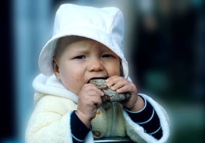 Ett litet barn på cirka två år tuggar på en bit rågbröd.