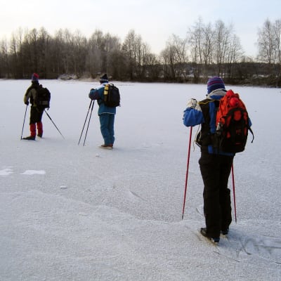 Långfärdsskridskoåkare på isen