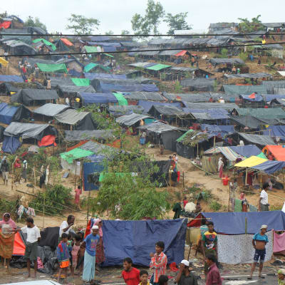 Rohingya-pakolaisten tulevaisuudesta ei ole tietoa. Avustusjärjestöt ovat varoittaneet sairauksista, kun pakolaisten itse kyhäämiltä leireiltä puuttuu hygienia ja puhdas vesi.