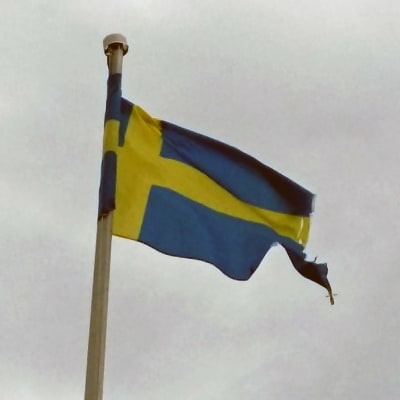 En trasig Sveriges flagga vajar i vinden.