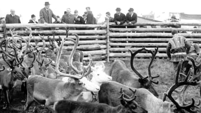 President Urho Kekkonen besöker Lappland på 1960-talet.