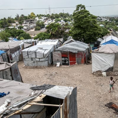 Många haitier bor fortfarande i tillfälliga ruckel i bristande hygieniska förhållanden, sex år efter den förödande jordbävningen. Fattigdomen bidrar till spridningen av zika-viruset.