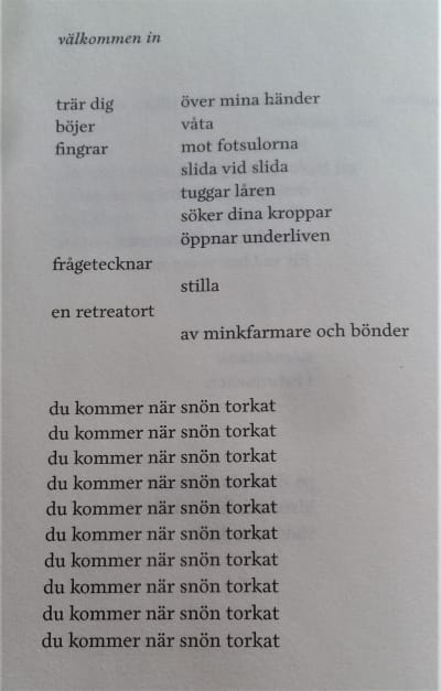 En dikt av Lina Bonde ur samlingen "tecknar snö".