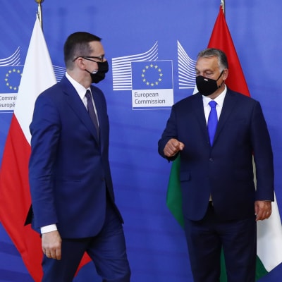 Polens premiärminister Mateusz Morawiecki med ungerska kollegan Viktor Orbán. 