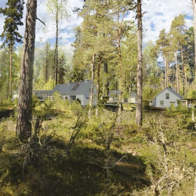 Modell för hur ett bostadsområde skulle se ut. På bilden finns hus inritade och de står i en skogsdunge.