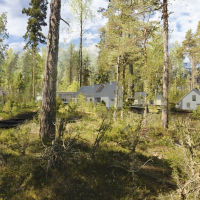 Modell för hur ett bostadsområde skulle se ut. På bilden finns hus inritade och de står i en skogsdunge.