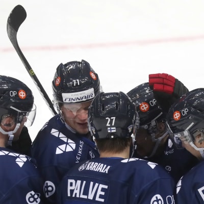 Finland firar Oula Palves mål.