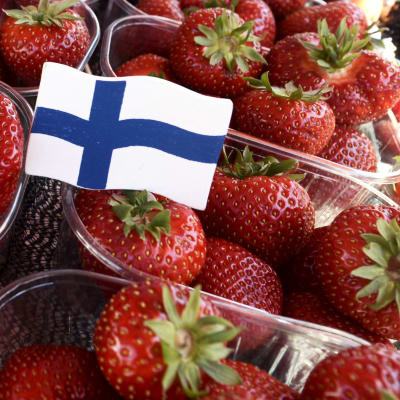 Jordgubbar till försäljning på Salutorget i Helsingfors i maj 2019.