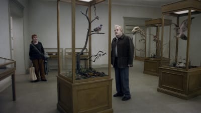 Roy Andersson: Kyyhkynen oksalla istui, olevaista pohtien (2014)