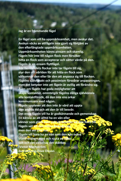 Victor Malmströms dikt