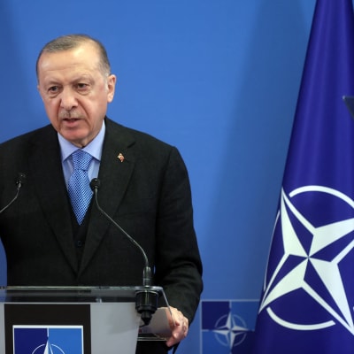 Turkin presidentti Erdogan. Taustalla Naton ja Turkin liput. 
