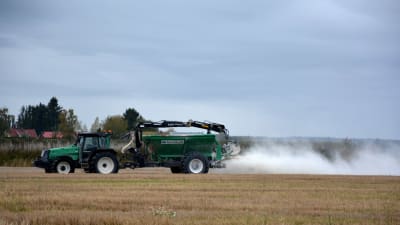 En grön traktor med släp sprider ut strukturkalk på en åker.