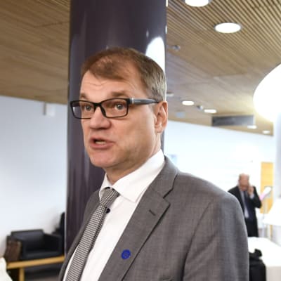 Statsminister Juha Sipilä i grå kostym fotograferad i riksdagen. 