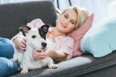 Ljushårig ung kvinna ligger på en soffa tillsammans med en vit hund