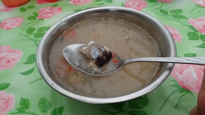 Sibirisk fisksoppa