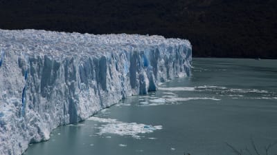 Perito Moreno-glaciären i Patagonien