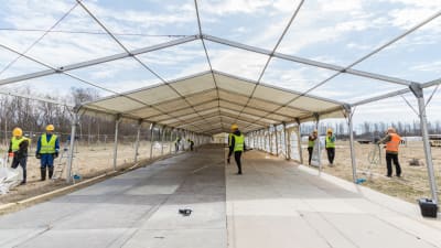 Några personer lägger upp ett tält genom talkoarbete under sommarmötet i Björneborg 2017.