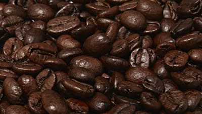 Närbild av kaffebönor. Foto/Bildbanken Mostphotos.