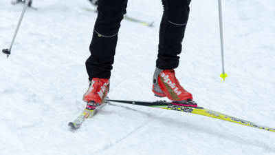 Skidskor i skidor.