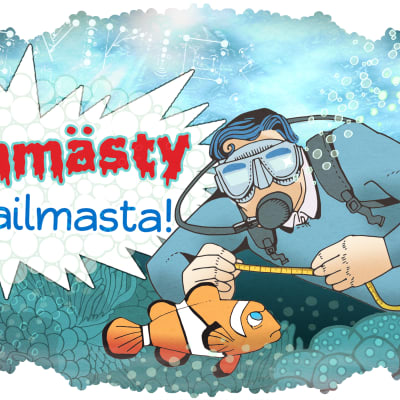 Hämmästy maailmasta meri