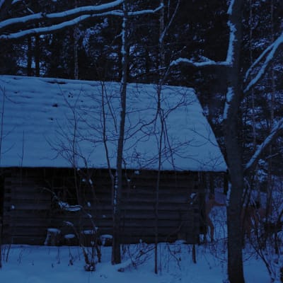 Savusauna lumisessa metsämaisemassa.