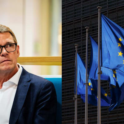 Matti Vanhanen och Europeiska unionens flaggor