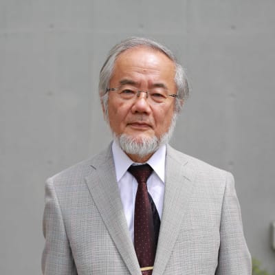 Nobelpriset i medicin till Yoshinori Ohsumi