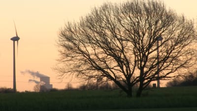 Miljöorganisationerna ser det nya stenkolskraftverket som en ödesdiger signal till omvärlden