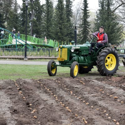 Maanviljelijä ajaa traktorilla perunapellon laidalla