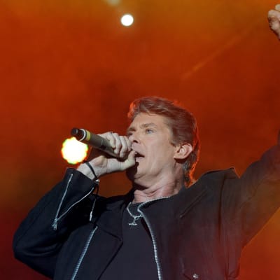 david hasselhoff