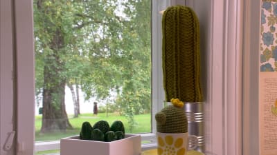Lees kaktusar av sten och garn