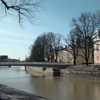 Biblioteksbron i Åbo våren 2014