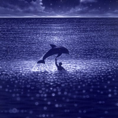 En delfin och en pojke simmar i ett glittrande hav.