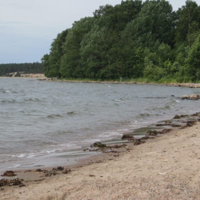 Sandstranden i Lappvik som hela tiden förlorar sand