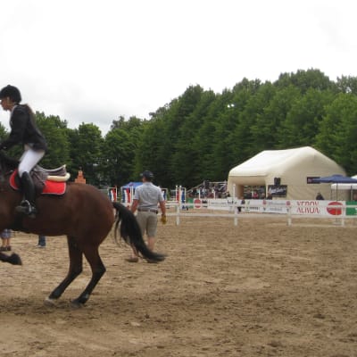 En häst och ryttare som hoppar över ett övningshinder