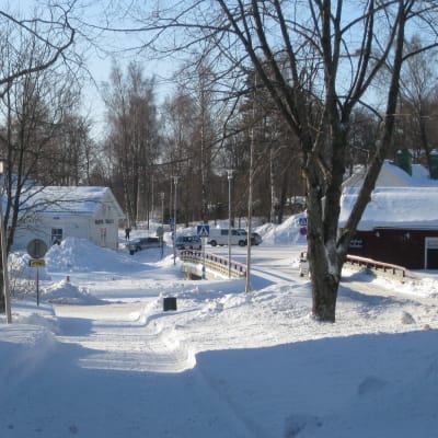 en gata i Ingå