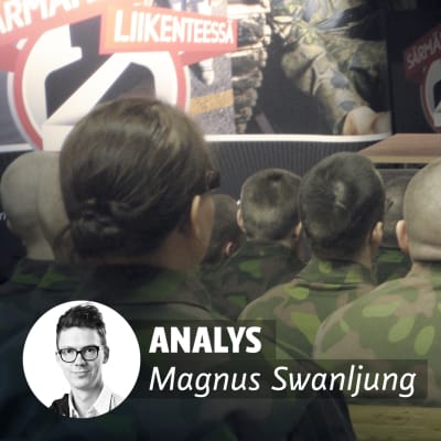 Analys Magnus Swanljung