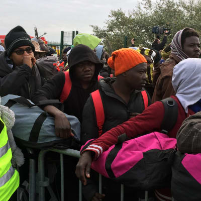 Hjälparbetare bistår då flyktinglägret Djungeln töms i Calais.