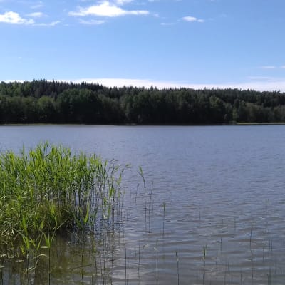 Linkulla sjö i Ingå.