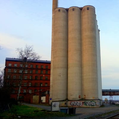 Silorna vid Academill