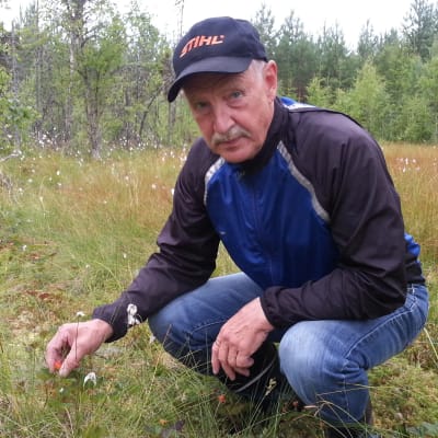 Martin Håkans