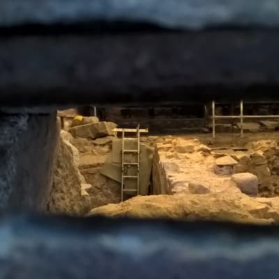Då man tittar in genom en källarglugg ser man en stege som som rest i medeltida källarvalv.