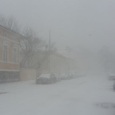 Snöstorm i Åbostadsdelen Port Arthur, så att man inte ens ser till nästa kvarter.