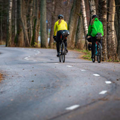 Två cyklister på en krokig, asfalterad, ganska liten väg. Höstlandskap.