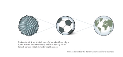 Illustration av storleksskalan i kvantvärlden.