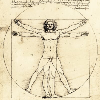 Leonardon piirros Vitruviuksen mies.